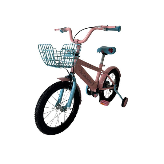 Disney Frozen 16-Inch Girls Bicycle with Front Basket, Training Wheels