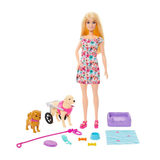 Barbie Fam Doll With Puppy In Wheelchair Set