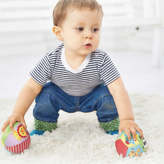 Fisher-Price 1piece Classic Animal Ball