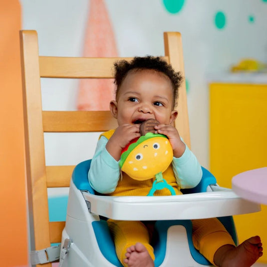 Bright Starts Say Cheeseburger Plush Teether