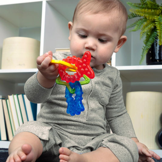 Baby Einstein Cool Critters Teether