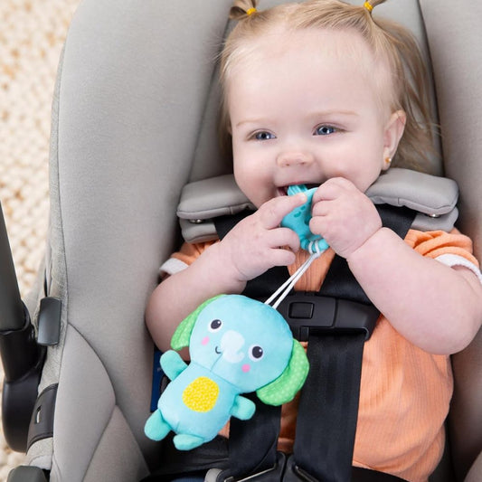 Bright Starts SootheMate Plush Elephant Teether