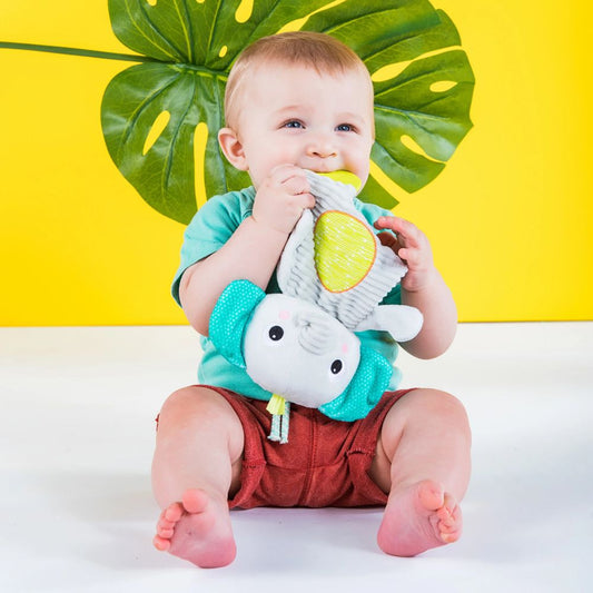 Bright Starts Snuggle & Teether Elephant