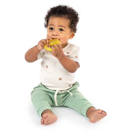 Ingenuity Cool Bite Water Teether Bomby, BPA-Free Teether For Babies 3 Months+