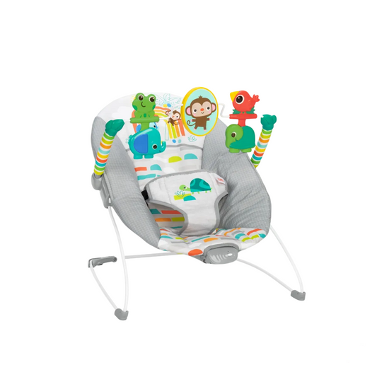 Bright Starts Playful Paradise Vibrating Bouncer for Baby Newborn up to 6 months