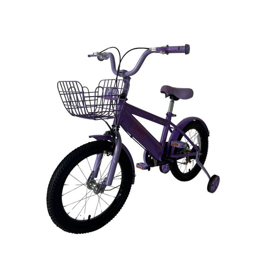 Disney Princess 16-Inch Kids Bicycle with Front Basket & Training Wheels