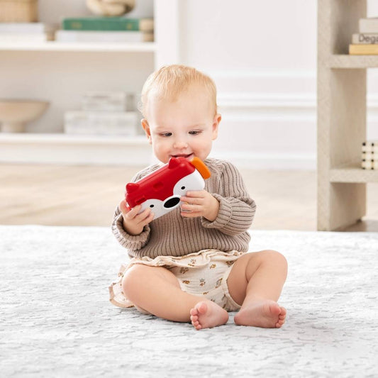 Skip Hop Explore & More Fox Camera with Lights & Sounds