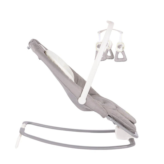 Joie Dreamer with Infant Insert Suitable From Birth To 15kg - Fern