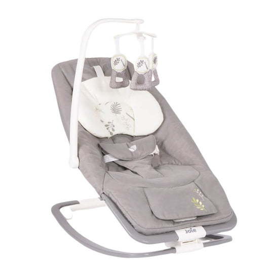 Joie Dreamer with Infant Insert Suitable From Birth To 15kg - Fern