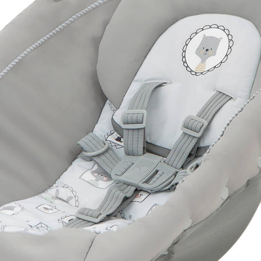 Joie Excursion Change & Bounce Suitable From Birth to 15 kg - Portrait