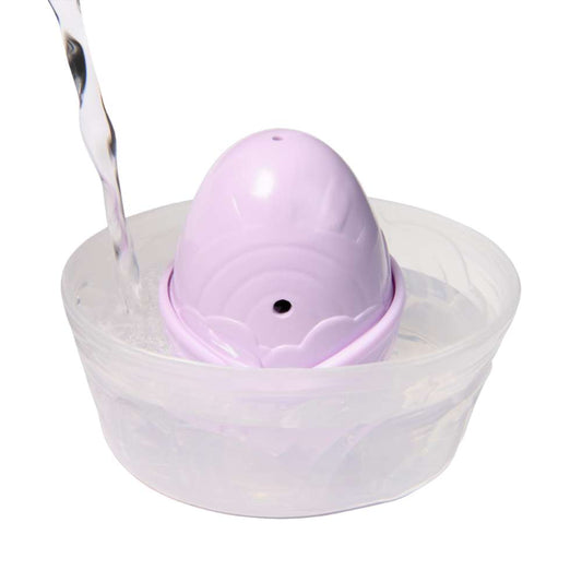 Hatchimals Alive Rainbow Splash Amazing Color