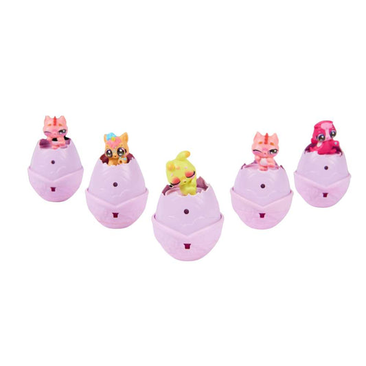 Hatchimals Alive Rainbow Splash Carton Amazing Color