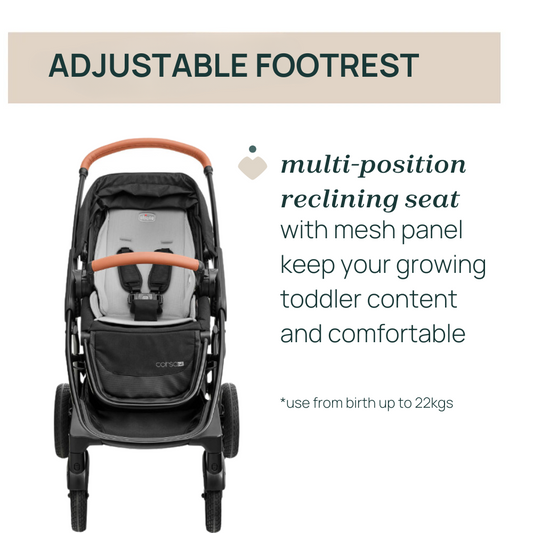 Chicco Corso Stroller Limited Edition - Studio