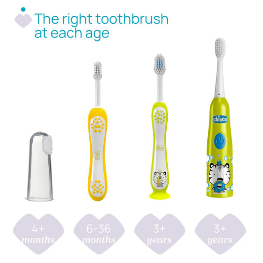 Chicco 2pcs Pack Toothbrush for Kids 3 to 6 yrs - Hippo and Panda