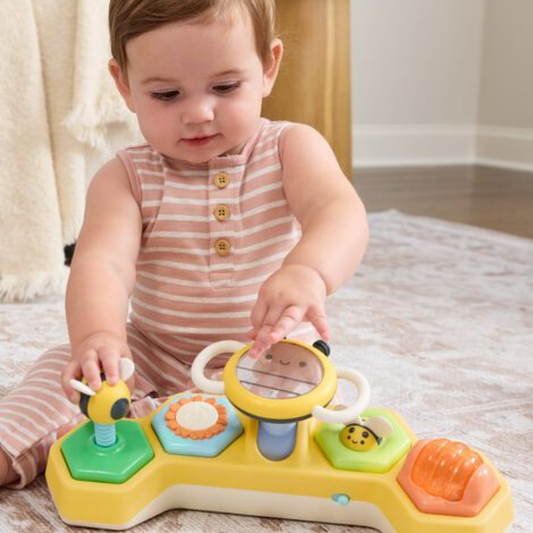Skip Hop Farmstand See & Bee Steering Wheel